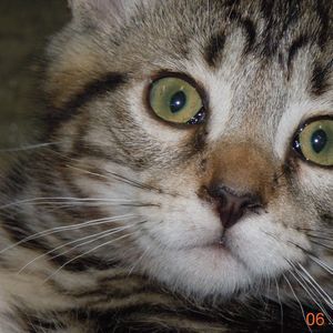 Meet your Posher, Angie